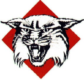 Illustration for article titled Davidson Wildcats