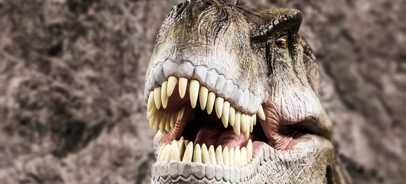 Jurassic Park Lied To You T Rex Had Great Eyesight Really