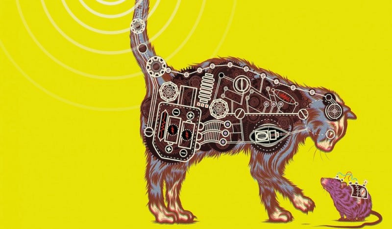 Illustration for article titled The CIA's secret experiments to turn cats into spies