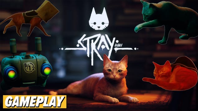The Times When Stray Perfectly Captures The Full Cat Experience