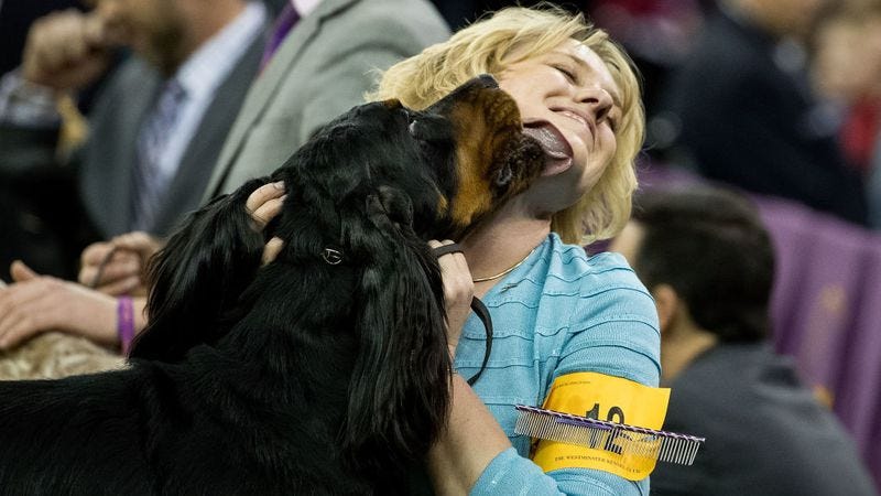 What a goof. (Photo: Drew Angerer / Getty Images)