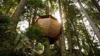 Illustration for article titled These Are The Most Amazing Tree Houses Ever