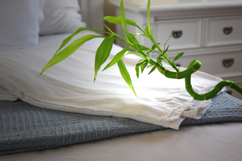 Illustration for article titled BAMBOO SHEETS