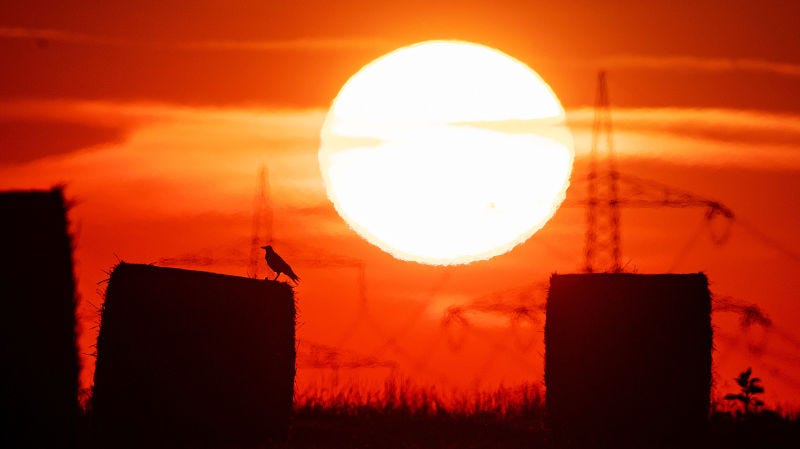 HACE. MUCHO. CALOR.Foto: AP
