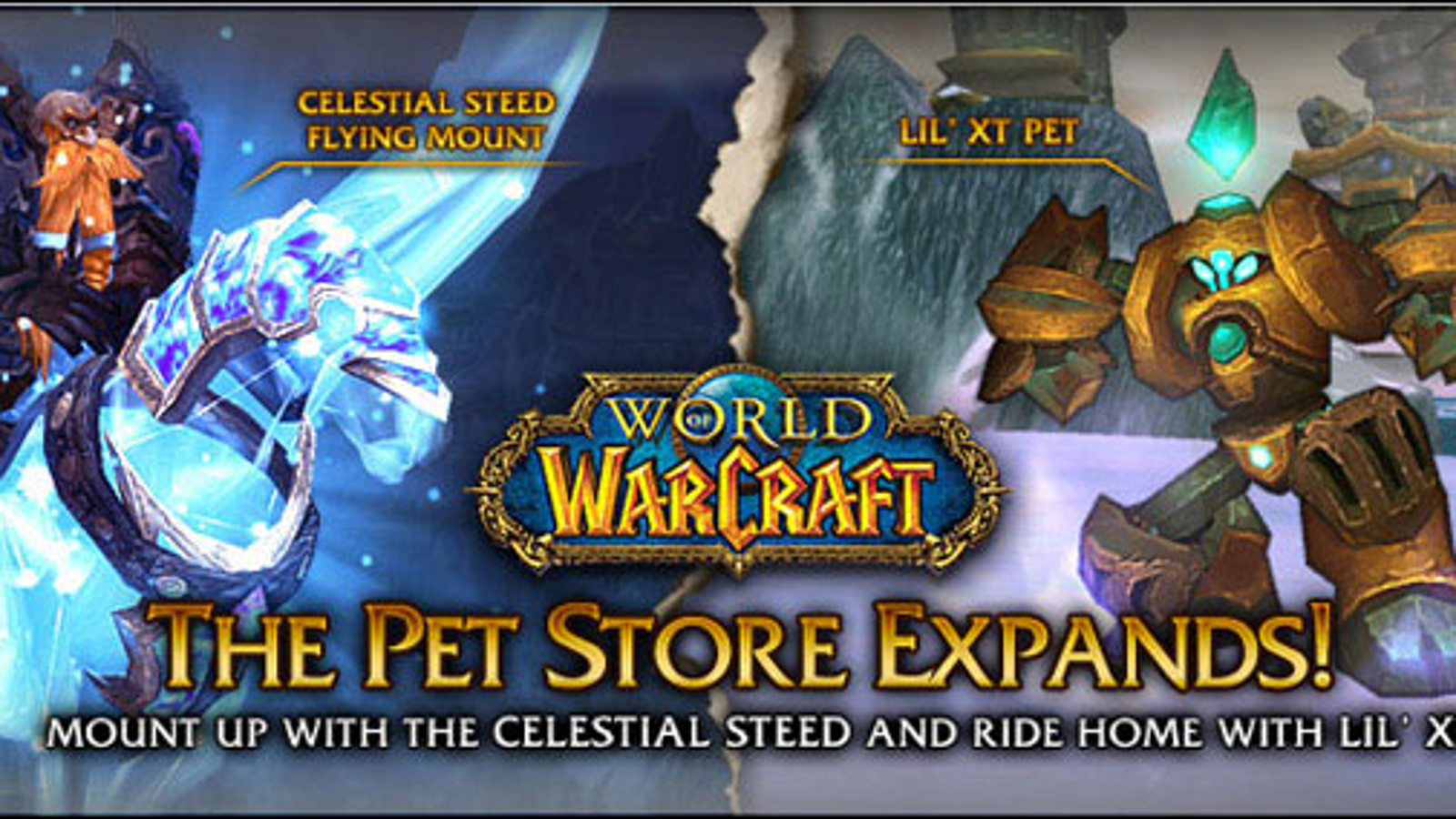 wow mounts store