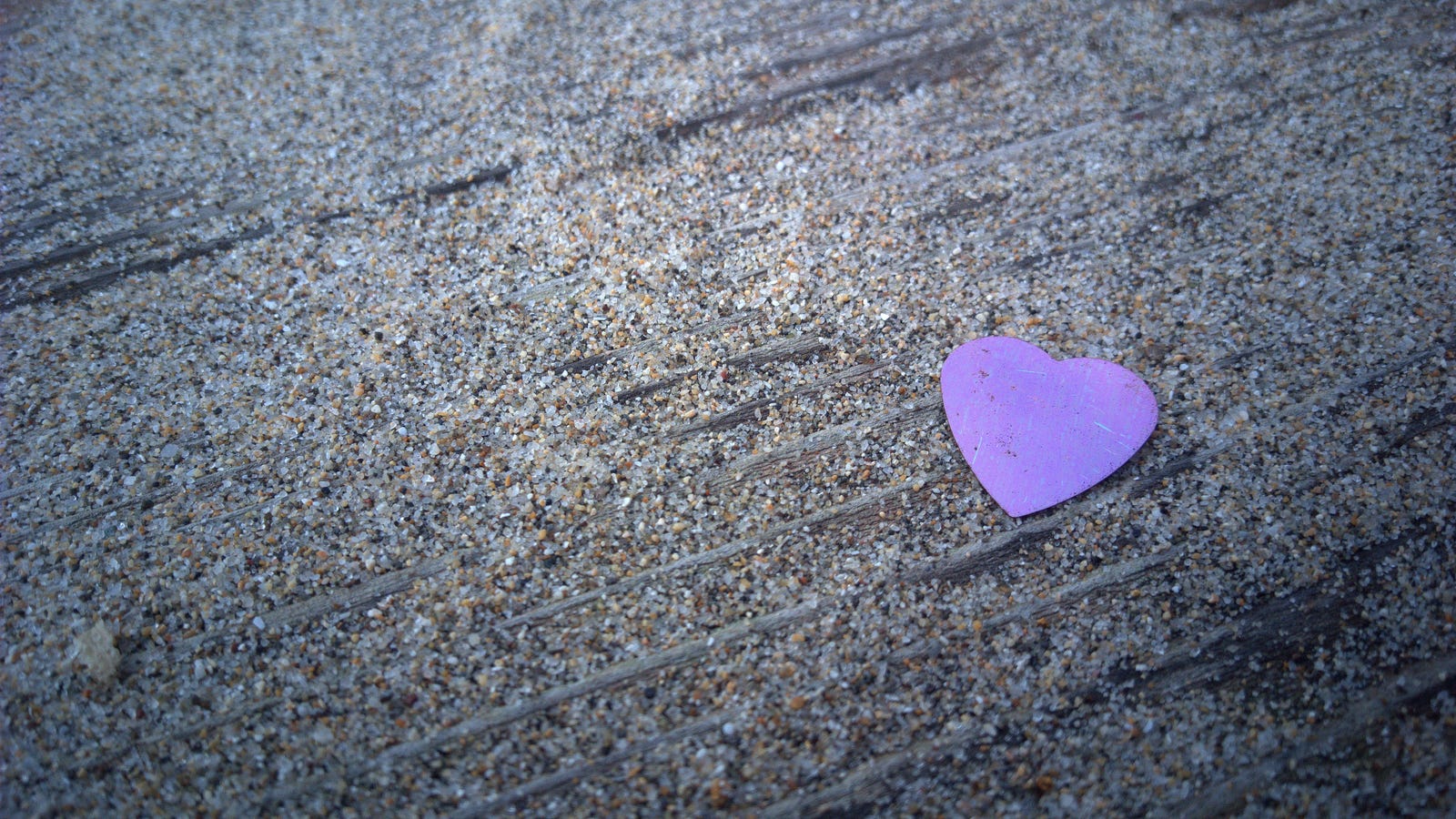Scientists Find a New Kind of Cell That Helps Heal the Heart
