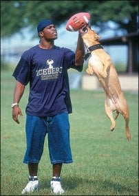 Illustration for article titled A Michael Vick Defender Anonymously Steps Forward To Offer Perspective