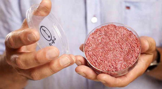 Scientists Say Lab-Grown Burgers Will Be Available to the Public in Five Years