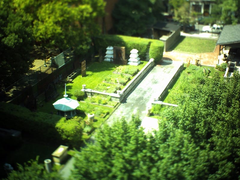 Illustration for article titled Photojojo Tilt-Shift Camera Lightning Review: Who Needs Instagram?