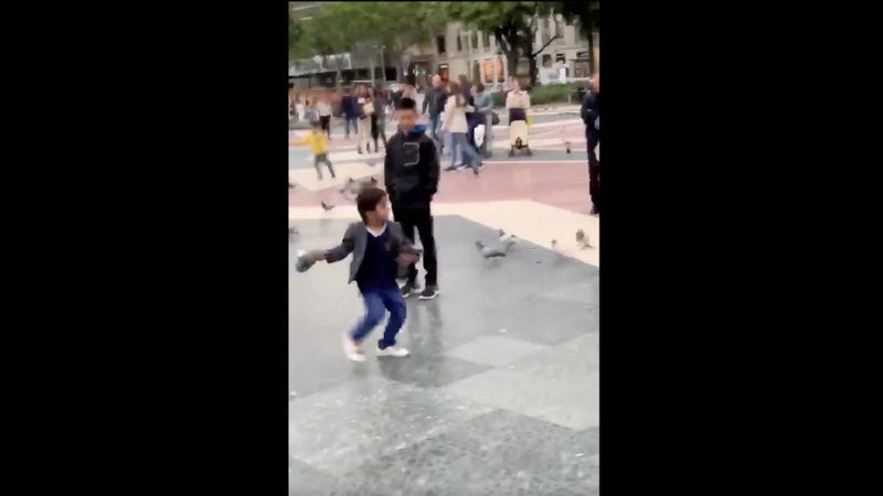Illustration for article titled Young Child Demonstrates Impressive Pigeon-Throwing Abilities To Confused, Scared Onlookers