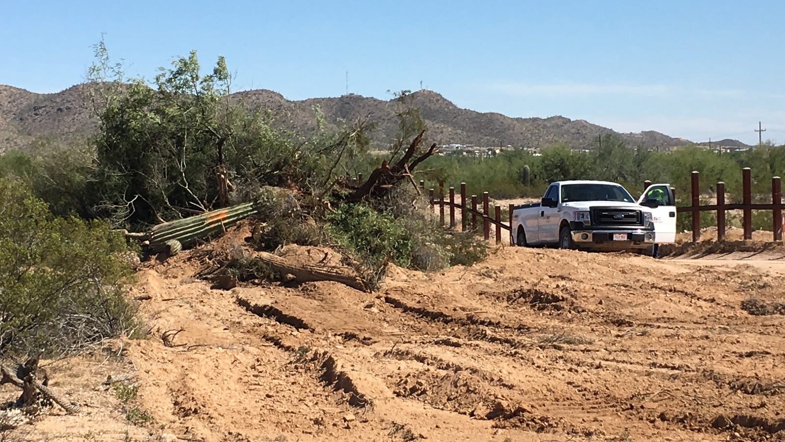 'Outrage': New Video Shows Bulldozers Destroying America's Most Iconic Cacti to Build Trump's Border Wall