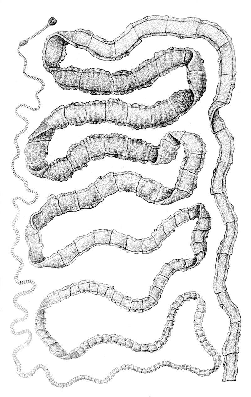 dolor de cabeza por cisticercosis