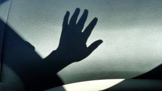 Illustration for article titled How a three-fingered hand "regrew" its digits after amputation