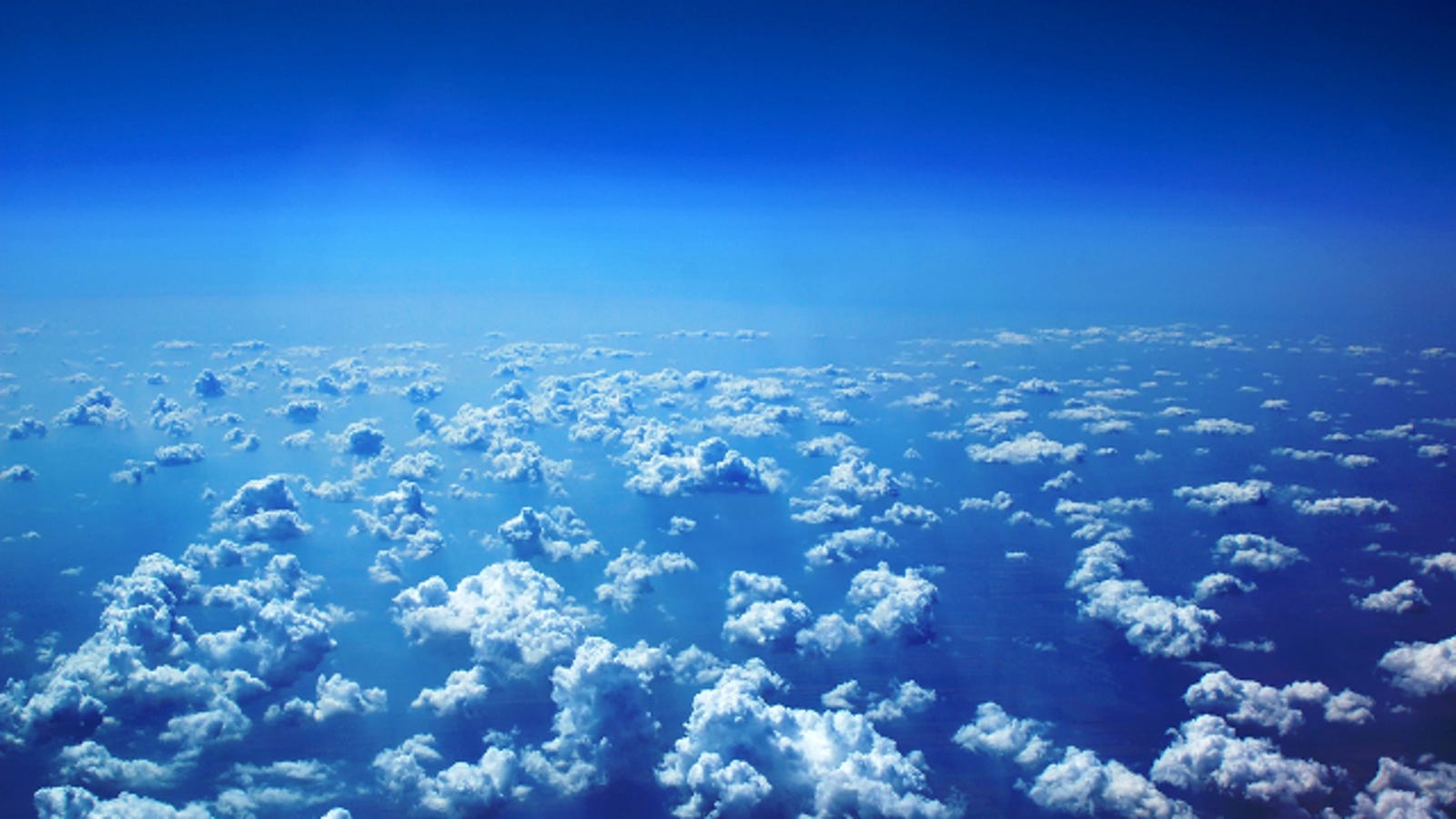 Bacteria and fungi living 30,000 feet above the Earth could be
