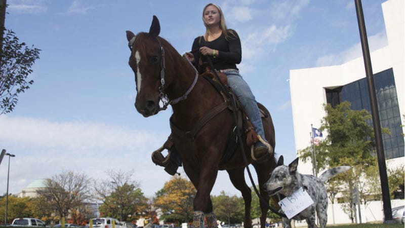 Illustration for article titled Woman Rides Horse To DMV To Get Driver's License Back