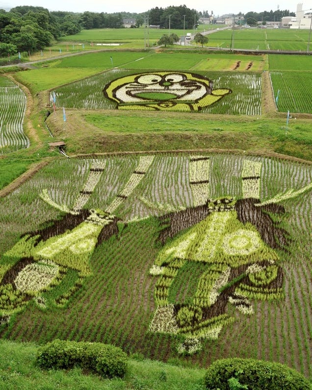 Mewarnai Gambar Sawah Dan Petani