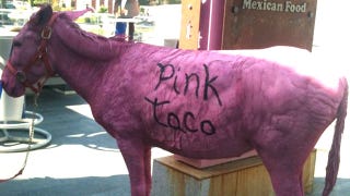 Illustration for article titled The Sad, Pink Donkey Who Ignited a Taco-Boycotting Revolution