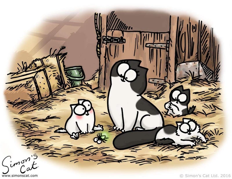 Illustration for article titled Caturday Morning Open Thread