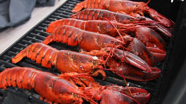 David Foster Wallace Consider the Lobster