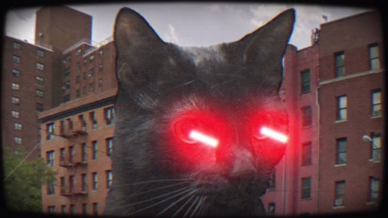 Illustration for article titled The first video from Meow The Jewels is exactly as ridiculous as you’d hope
