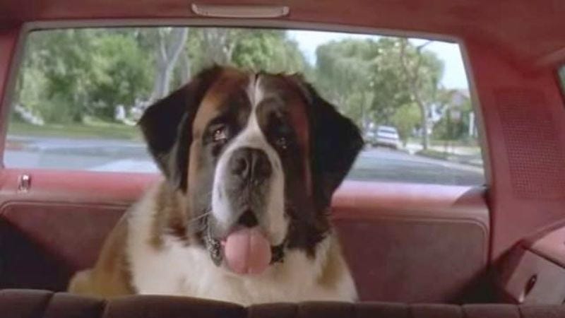 7 Famous Dogs From The '90s That Are Definitely Dead Now