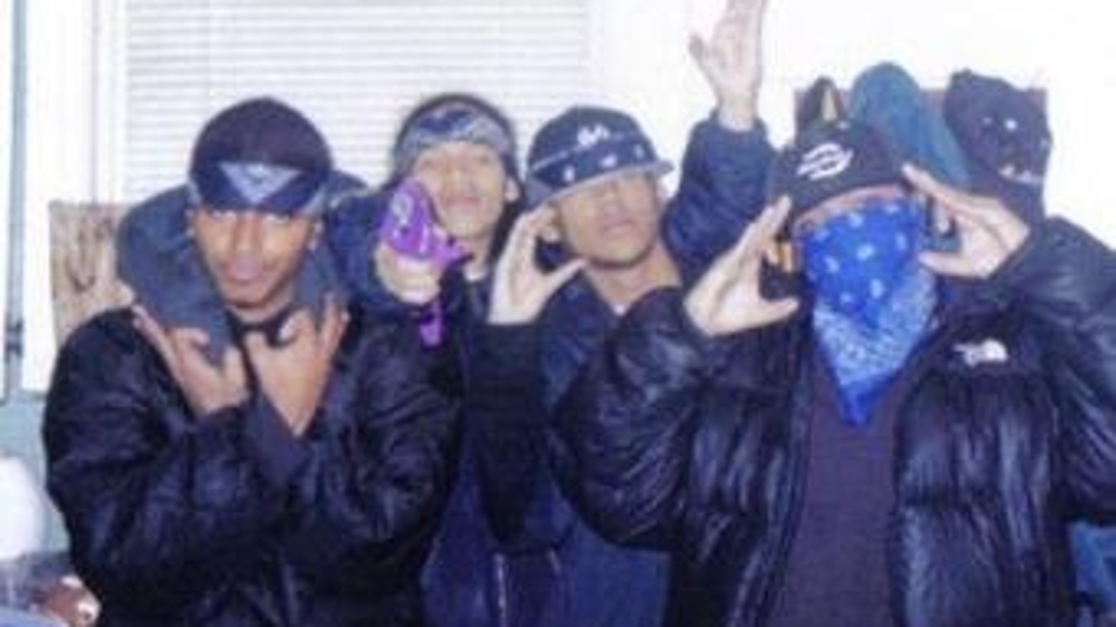bloods gangs