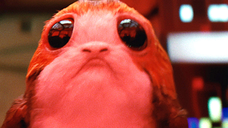 face onion and before after on Much Porgs Daisy Rey, Not Loves Ridley So