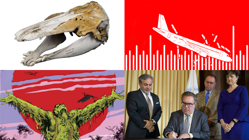 Clockwise from top left: Mikkel Høegh Post (Natural History Museum of Denmark); Benjamin Currie (Gizmodo); AP; DC Comics.