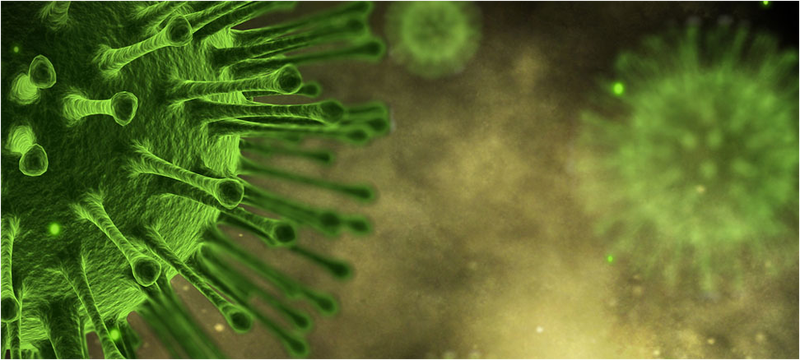Illustration for article titled Una extraña mutación genética hace a dos hermanos inmunes a virus