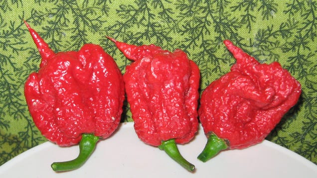 World's Hottest Pepper Sends Man to the ER With Thunderclap Headaches