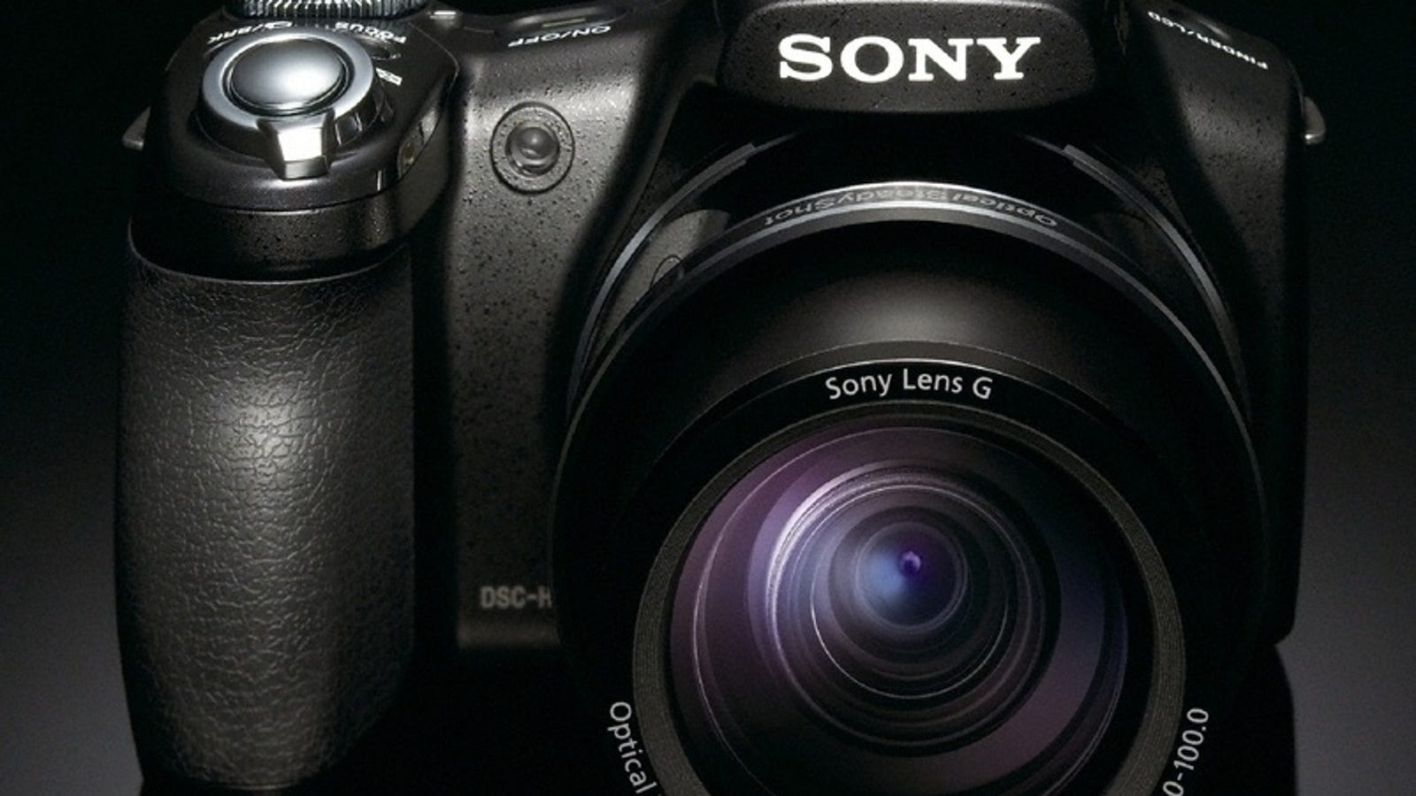 Sony DSCHX1 20x Superzoom Camera Shoots 1080p HD Video, Automagical