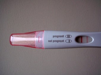 Illustration for article titled Pregnancy Tests In Schools Piss Off British Right-Wingers