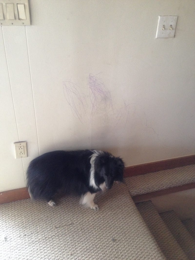 Illustration for article titled My kid discovered a use for crayons