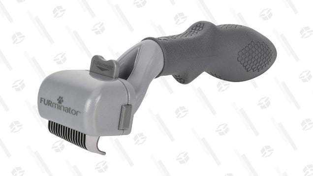 Our Readers' Favorite Pet Brush Is Down to $8