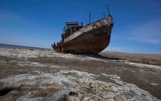 Illustration for article titled Dead lakes, dying seas: human-made natural disasters