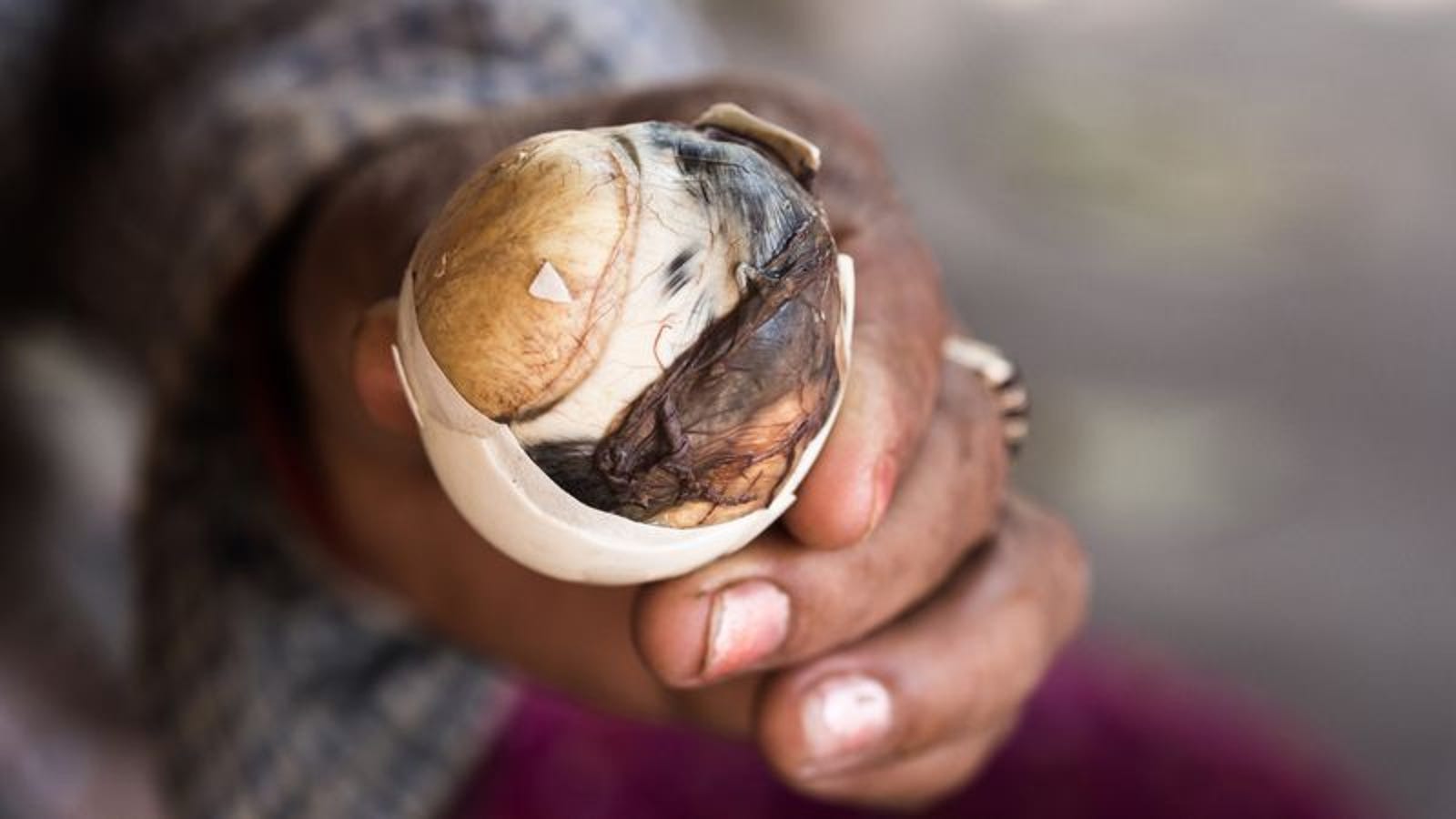 Balut, the terrifying hard-boiled duck fetus that’s also a ...