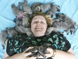 Illustration for article titled Aussie Dog Births Record Litter • Fecal Transplant? Strangely Unpopular!