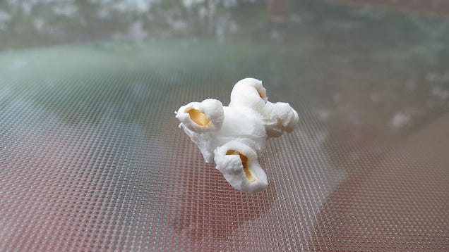 Soak Unpopped Popcorn Kernels to Give Them a Second Chance