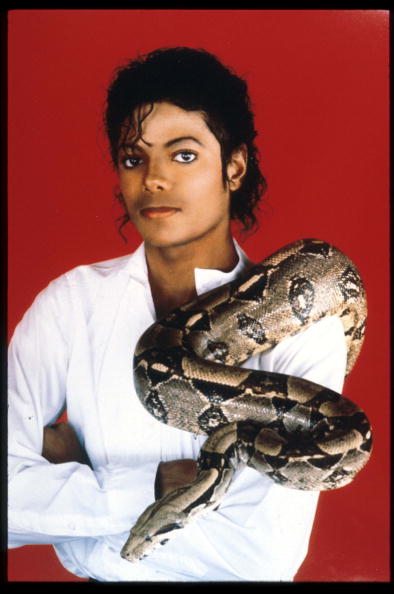 Michael Jackson poses with his pet boa constrictor Sept. 15, 1987. (Liaison)