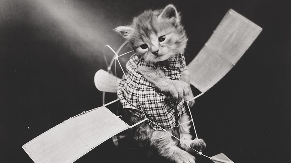 Vintage Photos Reveal Century Long Obession With Dressing Up