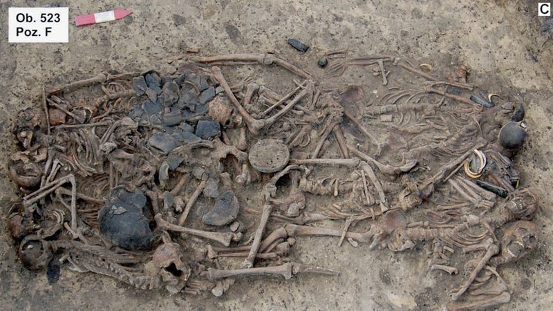 The mass grave at Koszyce, southern Poland.