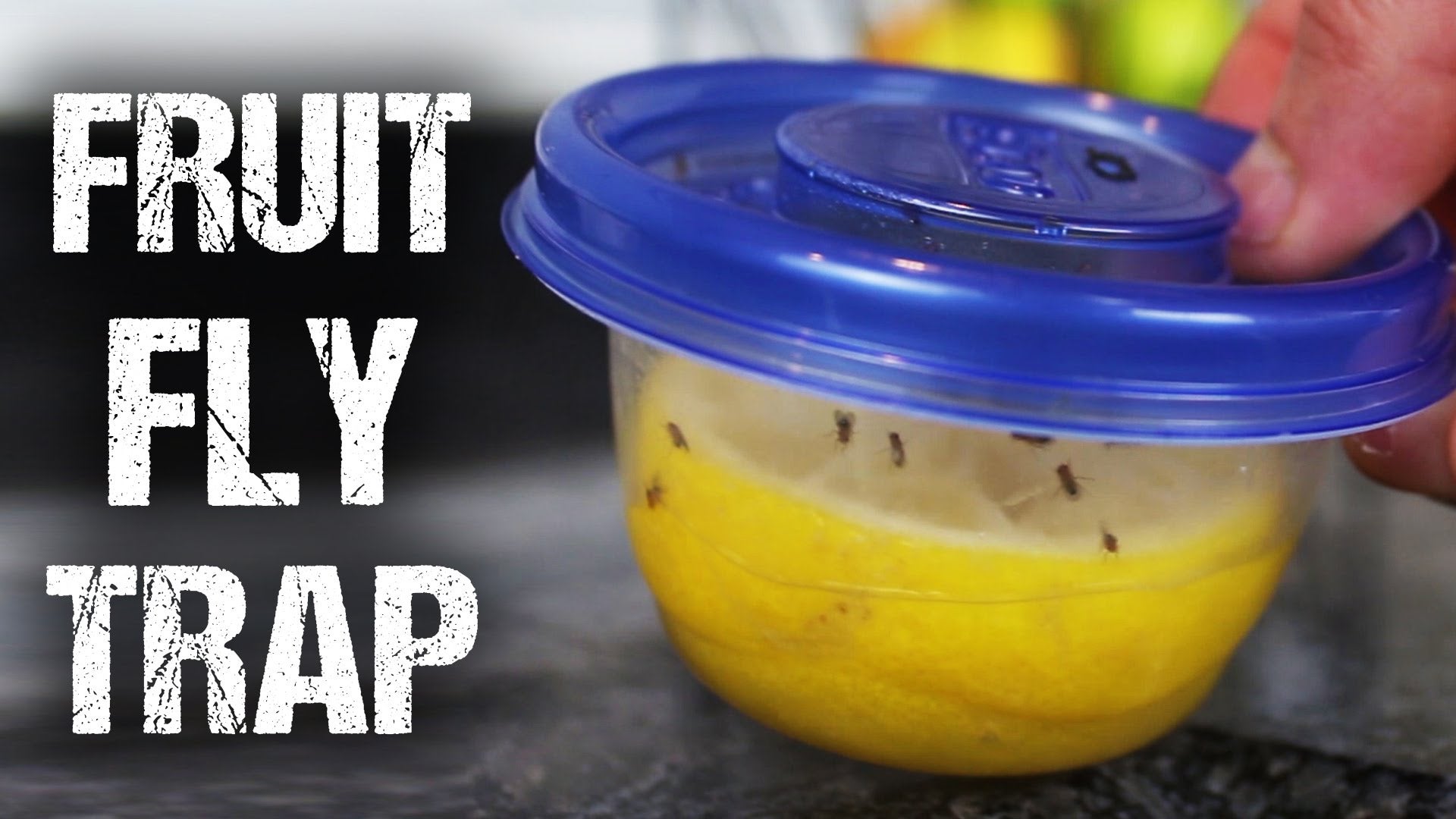 Make a GreatSmelling, Reusable Fruit Fly Trap