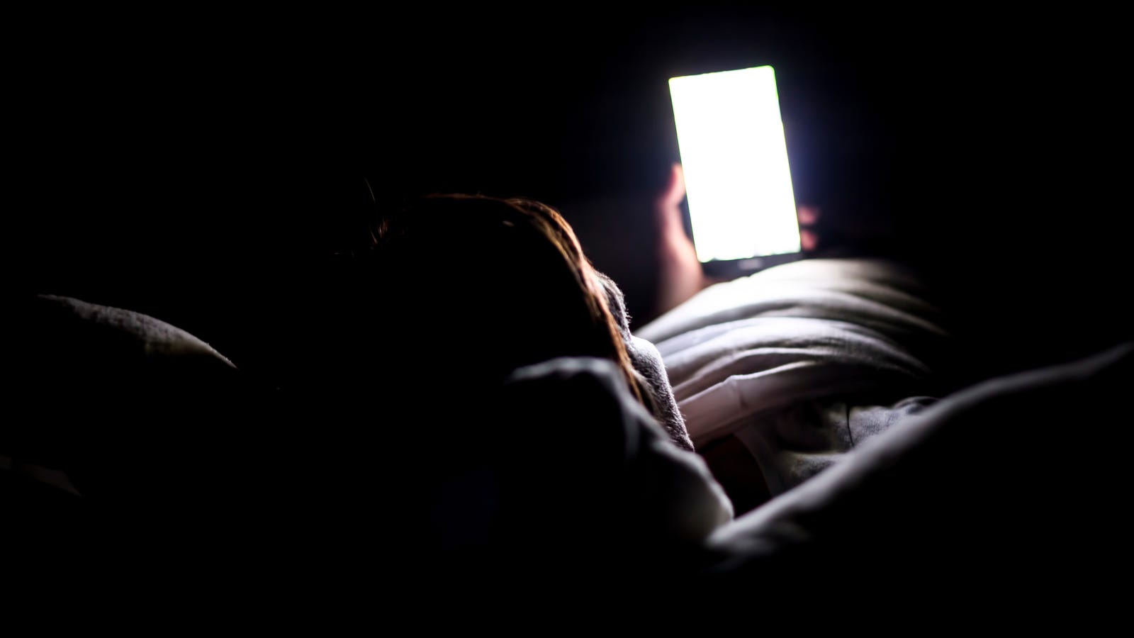 photo of Checking Your Phone at Night Won't Necessarily Throw Off Your Internal Clock, Mouse Study Finds image