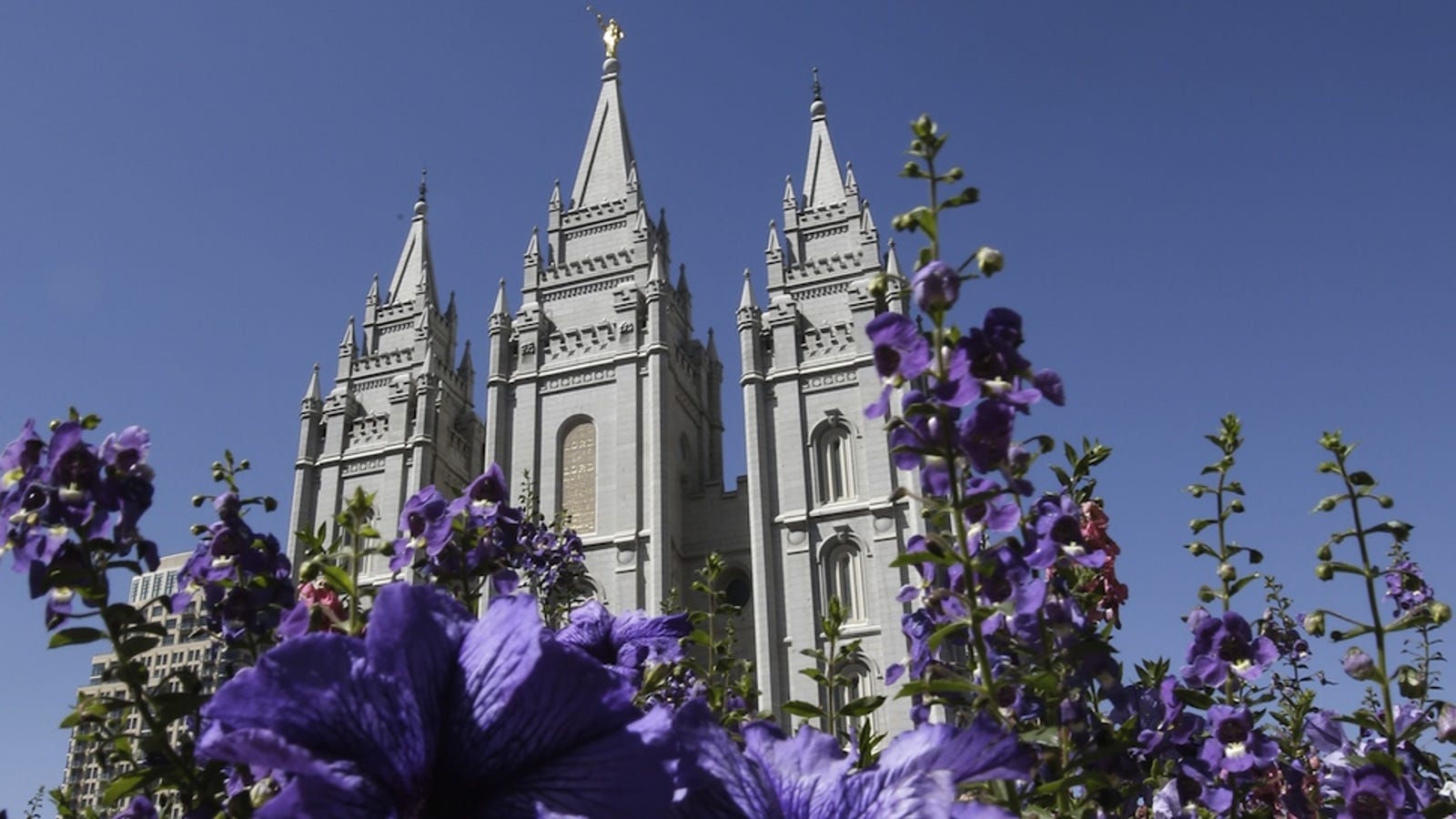 Mormon Church Announces Itll Back Very Specific Lgbt Protections 