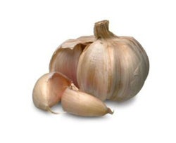 Illustration for article titled Where Garlic Has Never Gone Before: Or, How Not To Cure A Yeast Infection