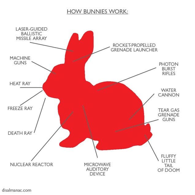 Bunny part. Карликовый кролик анатомия. Анатомия декоративного кролика. Bunni how we first met. Bunny body Guide.