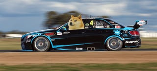 Illustration for article titled A Dogecoin Mercedes Might Race In Aussie-Rules NASCAR