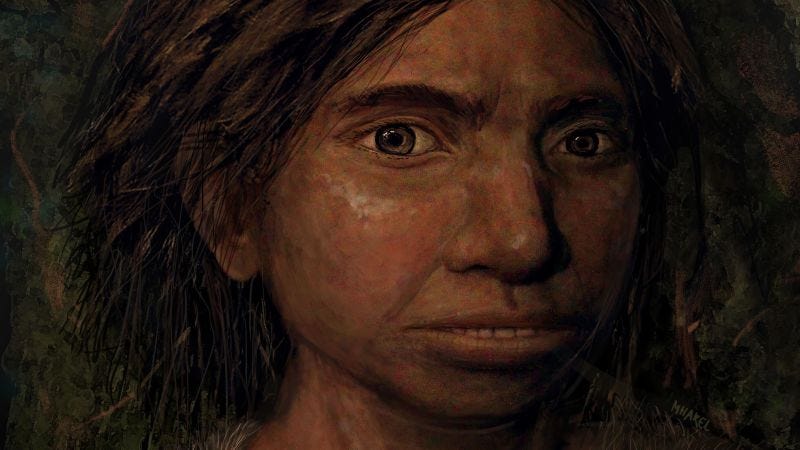 Illustration for article titled Esta reconstrucción facial pionera muestra cómo serían los enigmáticos denisovanos