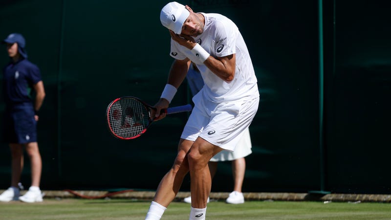 Flying Ants Swarm Wimbledon Players, Viewers Flying Ants Swarm Wimbledon Players, Viewers