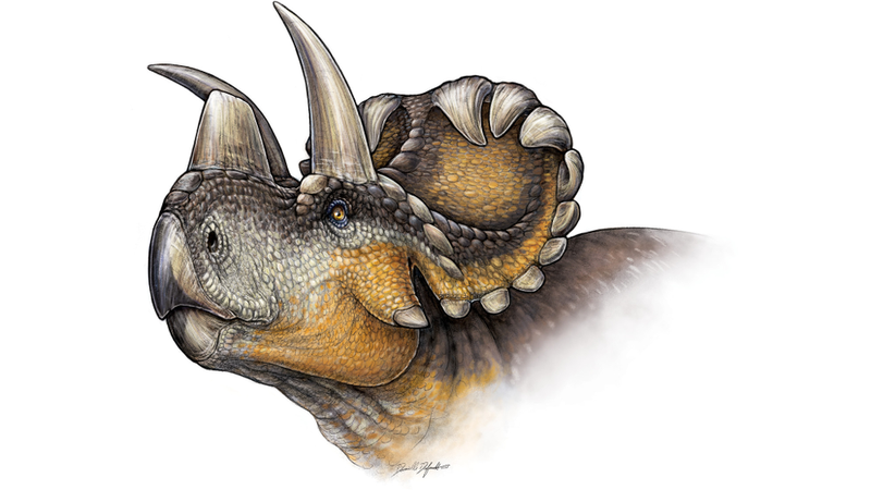 dinosaur with horned head